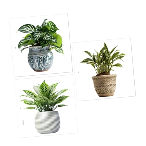 Zynphancer 3 pV[c CeAXebJ[ ÓdCڒ    A fR ItBX 