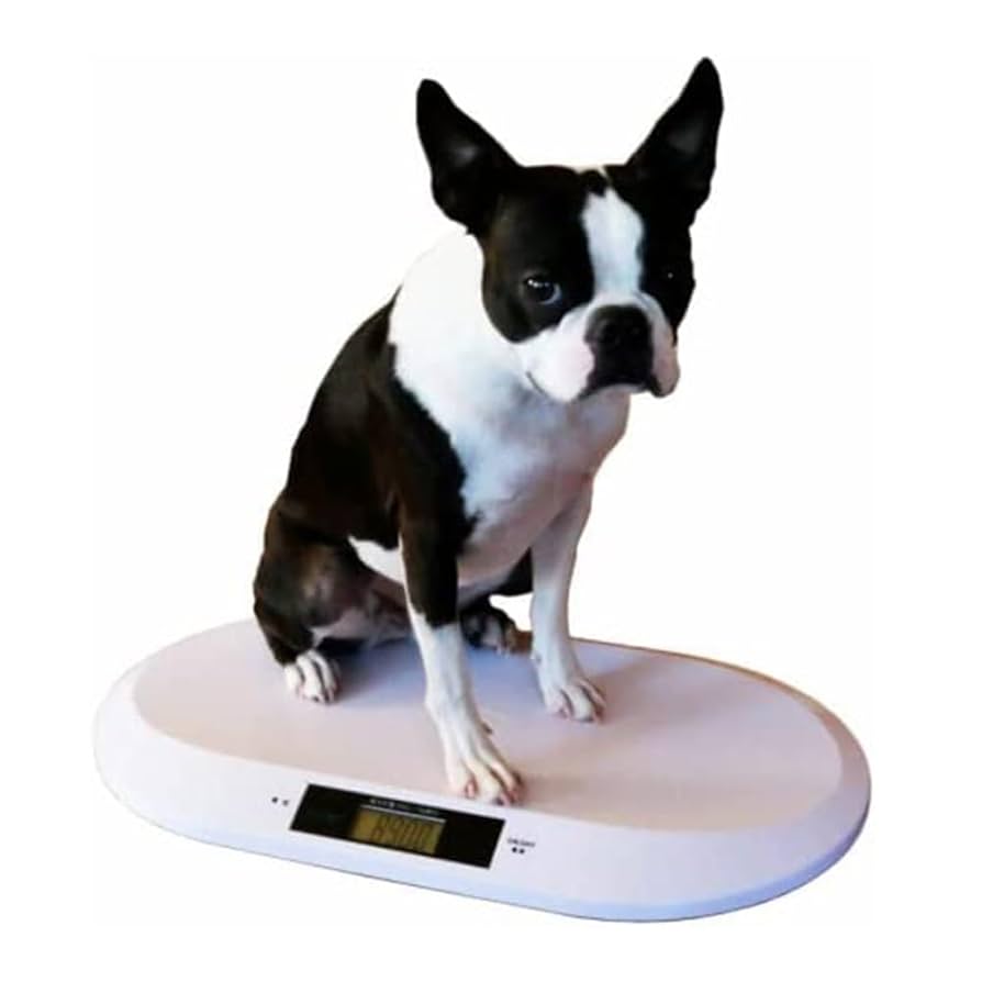 Amazon | MILASIC ペット用 体重計 国内正規品 デジタル表示