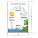 The Water Cycle - Science Classroom Decorations - 12-Inch by 18-Inch - Science Supplies for Classrooms - for High School, Middle School, Elementary CPS045