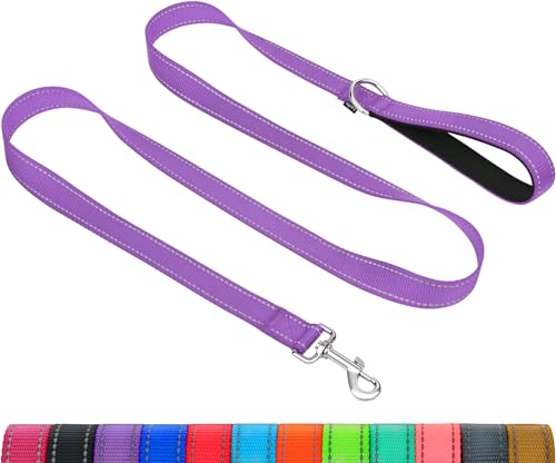 Taglory Guinzaglio per Cani Riflettente con Manico Imbottito e Gancio in Metallo, Nylon Resistente Addestramento Cane Guinzaglio, 1.8 m x 2.0 cm, Viola