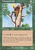 Magic: the Gathering - Wirewood Elf - Ansturm - Folie