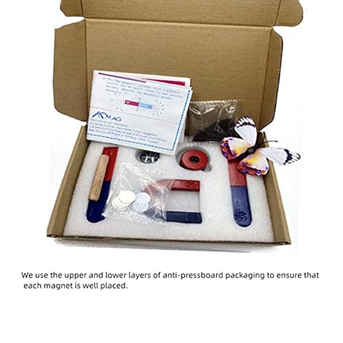 Kit de Imanes de Ciencias Físicas para la Educación Herramientas para Experimentos Científicos Iincluyendo Imanes de Barra/Ring/Herradura/Compás - imagen 5
