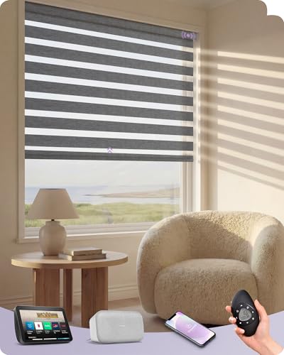 Graywind Smart Zebra Blinds