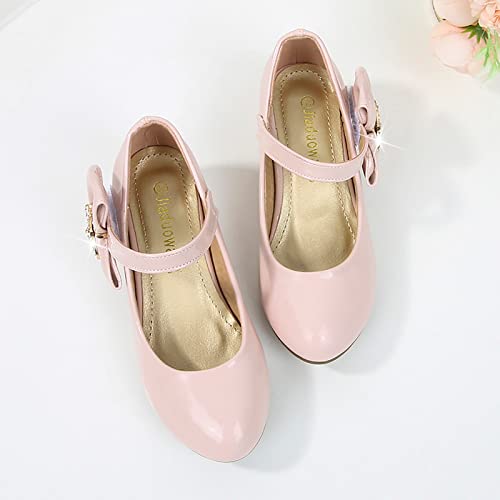 Girls Dress Shoes Low Heel Princess Flat Mary Jane Flower Wedding Party Glitter Shoes For Little/Big Kids3