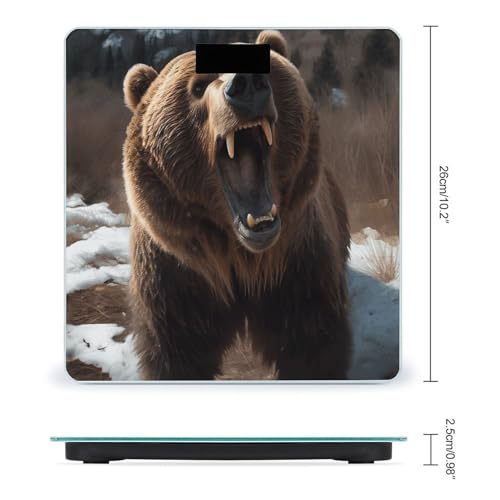 Báscula digital de baño FekiLoot con pantalla LCD miniatura 2