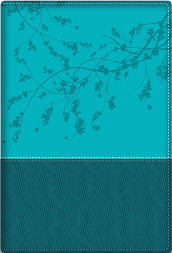 Portada de A Woman After God's Own Heart, Teal