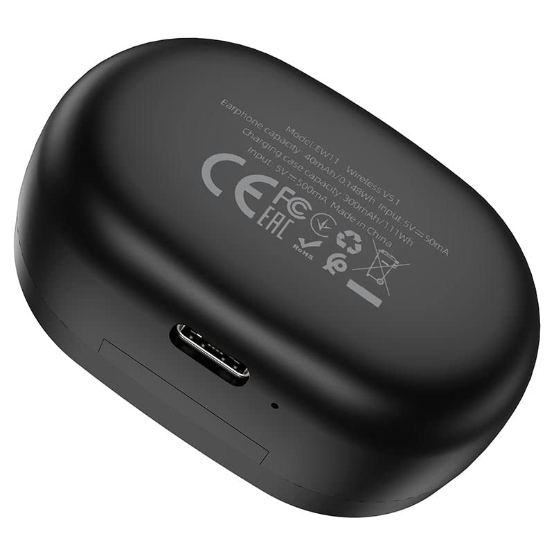 HOCO EW11 Melody Charging Case with Type-C port