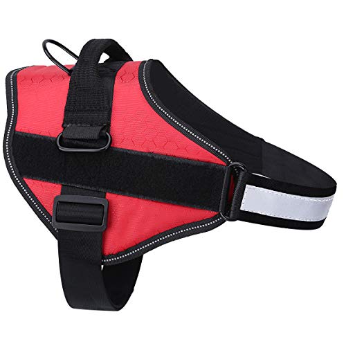 Find The Best Dog Harness UK For Your Pup! Review 2021 Ultimate