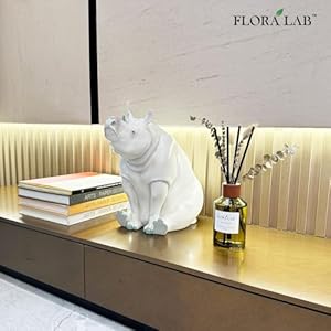 Reed diffuser sets with sticks and real dried flowers 67oz 200ml lemon sage long lasting fragrance natural design perfect for home bathroom shelf decor ideal gift  urban country home decor