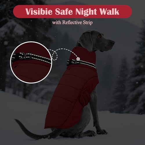 Abrigo para perro labrador en clima frío con arnés integrado 7