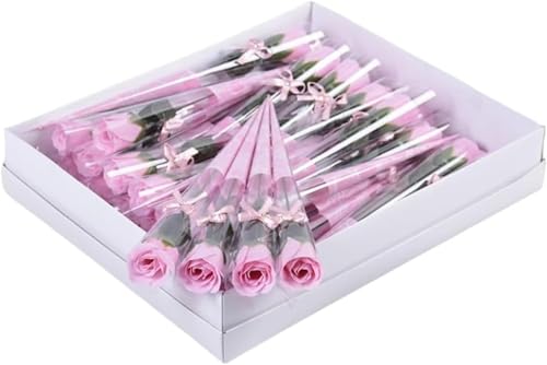 JBJSHHY 32{ \[vt[ KN  ʕ ͂Ȃ Mtg (sN)