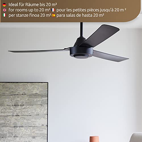 Ventilateur de plafond intérieur extérieur Bayside Calypso - 6