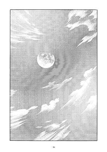 Distant Neighborhood, A