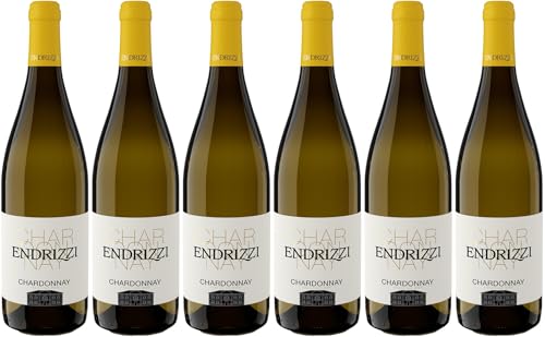 Endrizzi Chardonnay Trentino DOC 2024 Trocken (6 x 0.75 l)