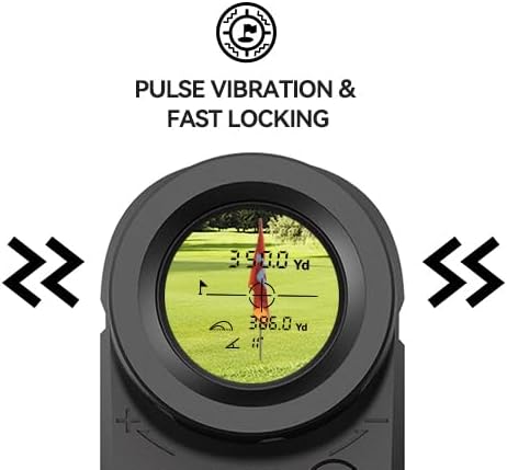 Internal display showing flag lock icon and pulse vibration indication