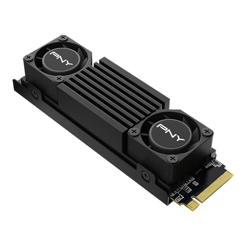 PNY CS3150 1TB M.2 NVMe SSD med Svart Kylfläns