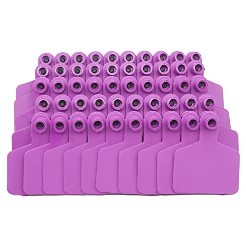 Étiquettes d'oreilles de mouton et chèvre pour faciliter le tri du bétail en pâturage