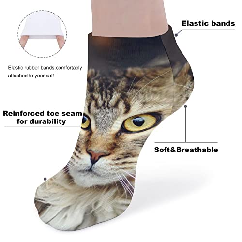 BAIKUTOUAN Maine Coon Cat Low Cut Sports Socks Breathable Lightweight Running Ankle Socks for Men Women4