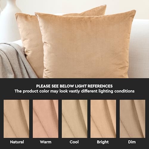 Image of Encasa XO Velvet Throw Pillow Covers 12x20 in (30x50 cm) - Gold - No Inserts, Pack of 2 Cases | Solid Plain Dyed Soft & Smooth, Square Decorative Cushion Covers for Living & Bedroom