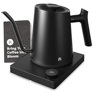 Greater Goods Electric Gooseneck Kettle, 1200W Stainless Steel with Precision Temperature Control, Fast Boil, BPA-Free, Ideal for Pour Over Coffee and Tea,1L (Onyx Black)
