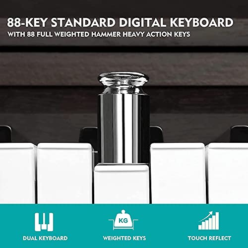 KACYDI Piano numérique à Action pondérée, Piano numérique à 88 Touches, Touches de Piano Marteau avec réponse au Toucher… - Les Beatles, Paul McCartney, John Lennon, RIngo Starr, George Harrison KACYDI Piano numérique à Action pondérée, Piano numérique à 88 Touches, Touches de Piano Marteau avec réponse au Toucher… – Image 8