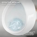 ECD Germany B09QLC7B9D lato 4