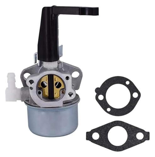 Kit entretien carburateur pour réparer le moteur de motoculteur Briggs Stratton 215369