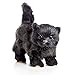 THE QUEEN'S TREASURES 18 Inch Doll Pets, Officially Licensed Little House On The Prairie Black Kitty Cat, Compatible with American Girl Dolls