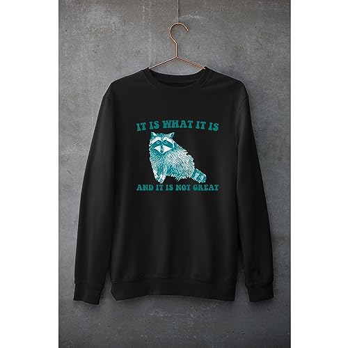It Is What It Is And It Is Not Great - Vintage Drawing Sweatshirt, Raccoon Meme Sweatshirt, Funny Trash Panda Sweatshirt, Unisex Sweatshirt2