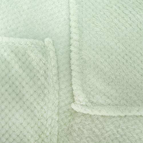 Image of Warm Soft Fuzzy Dog or Cat Blanket, Plush Fleece Throws for Puppy, Kitten, Medium, Large Dogs - Mint (40 inch x 48 inch)