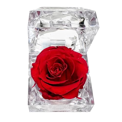 Sarini Forever Flowers Rosenringboxen, konservierte rote echte Rose, Geschenkbox, Jahrestag, Valentinstag, Geburtstag, Geschenke für Familie, Ehefrau, Freundin, Mutter Sarini Forever Flowers Rosenringboxen, konservierte rote echte Rose, Geschenkbox, Jahrestag, Valentinstag, Geburtstag, Geschenke für Familie, Ehefrau, Freundin, Mutter