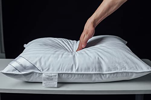 Oreiller en plumes d'oie blanche et coton supérieur à rayures