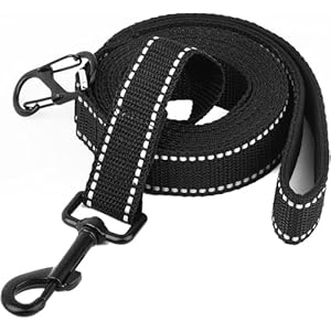 Longe pour Chien – Longe 3M 10M 20M 30M Laisse pour Chien, Laisse de Dressage avec Poignée pour Chiens, Refléchissant (10M)