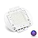 CHANZON High Power Led Chip 100W Purple Ultraviolet (UV 395nm / 3000mA / DC 30V - 34V / 100 Watt) SMD COB Light Emitter Components Diode 100 W Ultra Violet Bulb Lamp Beads DIY Lighting