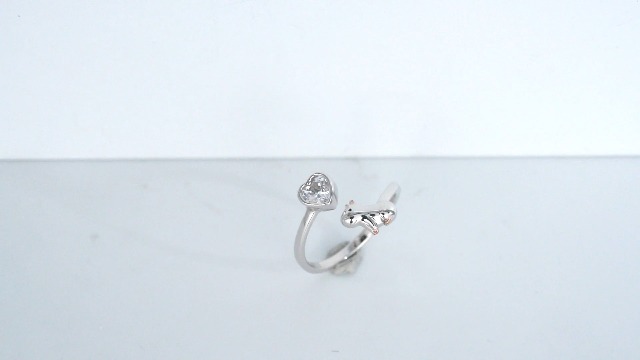 Amazon.com: TYSO Capybara Gifts 925 Sterling Silver Capybara Open
