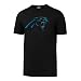 NFL Carolina Panthers Men's OTS Rival Tee, Large, Jet Black-I