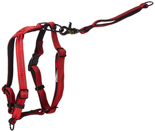 chaos dog harness