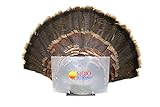 MOJO Outdoors Turkey Fan Press