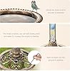 AISITIN Bird Bath Outdoor, Polyresin Lightweight Birdbath for Garden with 2.5W Solar Fountain, Used in Outside, Patio, Pond, Solar Fountain for Bird Bath #3