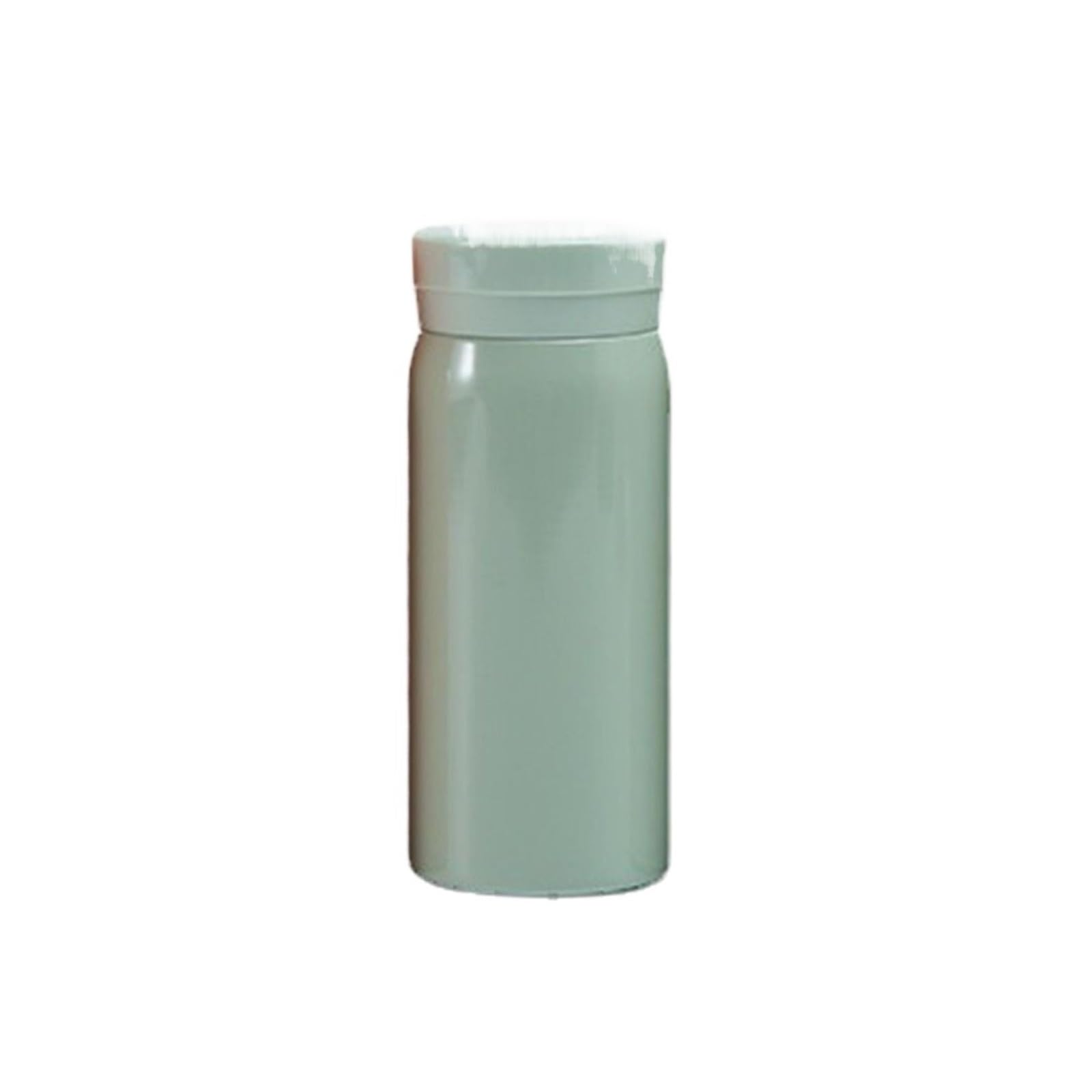 Mini taza de agua aislada acero inoxidable 304 | Botella de agua potable de viaje portátil(280ml,Green)