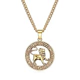 Rnivida Leo Zodiac Necklace Stainless Steel Astrology Pendant with 20" Chain,14k Gold Plated Constellation Jewelry for Women Men