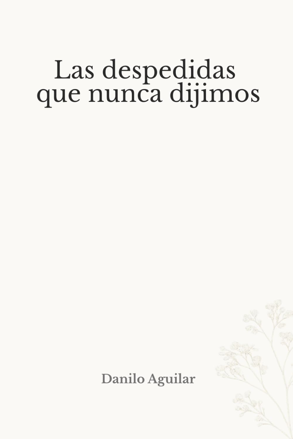 Las despedidas que nunca dijimos