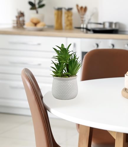 Image of Artificial Succulent Plant in White Ceramic Pot, Realistic Faux Greenery for Home Office Desk Tabletop Decor, Low Maintenance Long-Lasting Indoor Decorative Plant (B)