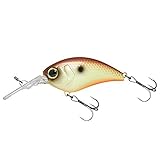 JACKALL(ジャッカル) クランクベイト マッシュボブ50 SR 50mm 9g マッディシャッド