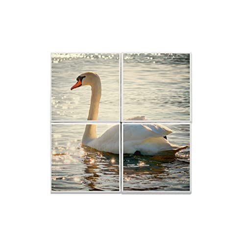 Carreaux céramique cygne et reflet de soleil pour une faïence de salon zen