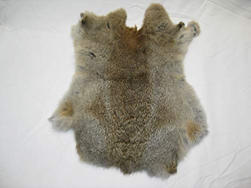 Treasure Gurus Natural Rabbit Pelt