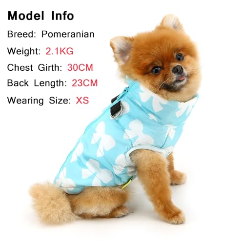 Image of SMALLLEE LUCKY STORE Dog Coat with D-Ring for Small Dogs, Baby Blue, XS | Bow Print, Water-resistant Shell, Padded Warmth, Zip-up Fit, Winter Walks, Chihuahua, Yorkie, Small Dog Harness Jacket
