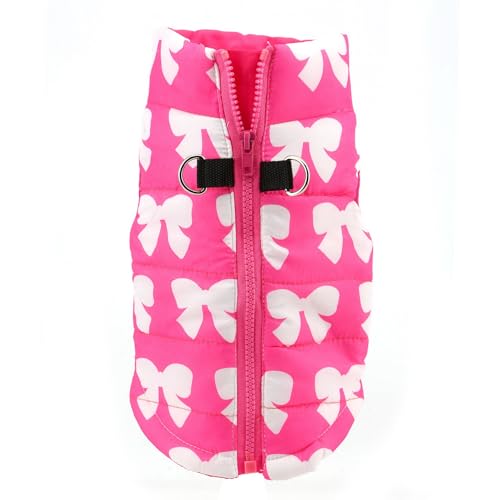 SMALLLEE_LUCKY_STORE Wasserabweisende Winterjacke für kleine Hunde und Katzen, mit Reißverschluss, gepolstert, Welpenmantel, Chihuahua, Yorkie, Kätzchen, warme Kleidung, Hot Pink, S