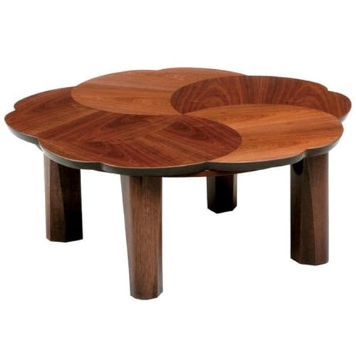 テレビで紹介されました!こたつブロッサム