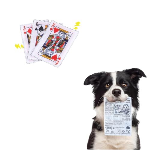 3 piezas juguetes mordibles para perros interactivos